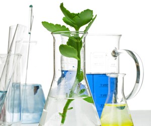 Non-food vegetable oils