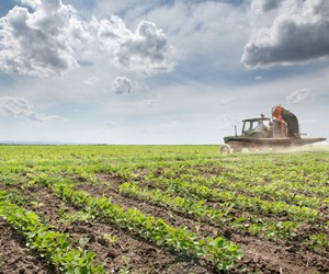 Oils for pesticides