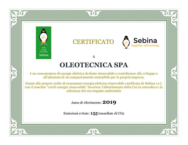 100% renewable energy